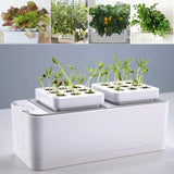 Smart,Indoor,Garden,Hydroponics,Growing,System,Planter,Office,Smart,Indoor,Garden