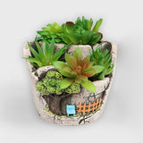 Garden,Small,House,Succulent,Green,Plant,Planter,Flower,Basket,Bonsai,Trough,Decor