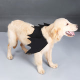 Halloween,Wings,Collar,Harness,Decor,Puppy,Black,Dress,Funny,Clothes