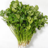 Egrow,Small,Parsley,Seeds,Japanese,Small,Parsley,Seeds,Organic,Vegetable,Seeds