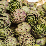 Egrow,Artichoke,Seeds,Globe,Bonsai,Vegetable,Garden,Plant