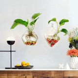 Creative,Hanging,Transparent,Glass,Hydroponic,Living,Decor