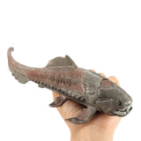 Dunkleosteus,Dinosaurs,Action,Figure,Model"