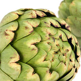 Egrow,Artichoke,Seeds,Globe,Bonsai,Vegetable,Garden,Plant