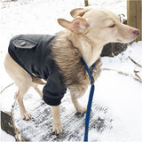 Nsmsan,Collar,Leather,Coats,Waterproof,Winter,Coats,Puppy,Weather,Clothes