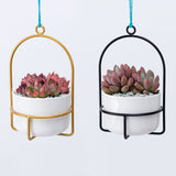 Creative,Simple,Hanging,Basin,Ceramic,Wrought,Flower,Stand,Flower