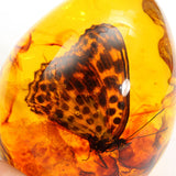 Butterfly,Amber,Resin,Amber,Butterfly,Insect,Stone,Pendant,Necklace,Decorations