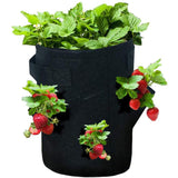 Gallons,Strawberry,Planting,Pockets,Planting,Pouch,Fabric,Strawberry,Tomato,Carrot,Vegetables,Container,Handles