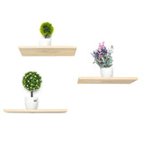 Shelf,Wooden,Plant,Platform,living