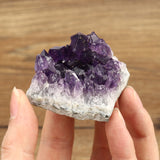 Natural,Amethyst,Crystal,Quartz,Drusy,Geode,Cluster,Healing,Stone,Decorations,Ornament