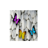 Bathroom,Toilet,Floor,Shower,Curtain,Bathroom,Carpet,Butterfly,Stone