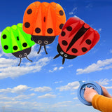 Children,Ladybug,Portable,Outdoor,Funny,Sport