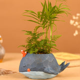 Whale,Planter,Resin,Potted,Plants,Succulent,Cactus,Flower,Craft,Ornaments