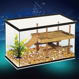 Aquarium,Turtle,Reptile,Basking,Terrace,Island,Platform,House