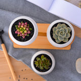 Cactus,Succulent,Bamboo,Saucers,Stand,Decorative,Ceramic,Flower