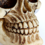 Resin,Craft,Statues,Decoration,Skull,Headphone,Creative,Skull,Figurines,Sculpture