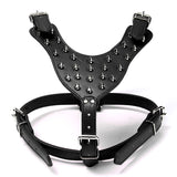 Leather,Harness,Collar,Leash,Spiked,Studded,Staffy,Security