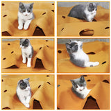 Playing,Activity,Collapsible,Scratch,Resistant,Litter,Training