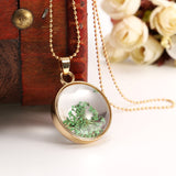 Necklace,Plant,Specimen,Circular,Glass,Picture,Frames,Dried,Flower,Necklace,Decorations