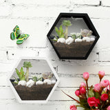 Hexagon,Hanging,Basket,Plant,Flower,Balcony,GardenDecorations