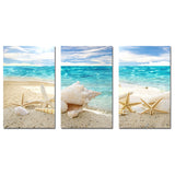 Miico,Painted,Three,Combination,Decorative,Paintings,Beach,Shell,Decoration