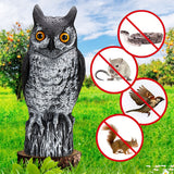 Realistic,Scarer,Simulated,Decoy,Outdoor,Protection,Repellent,Scarer,Garden,Decoration