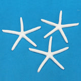 12Pcs,Beautiful,White,Finger,Starfish,Beach,Wedding,Coastal,Decorations