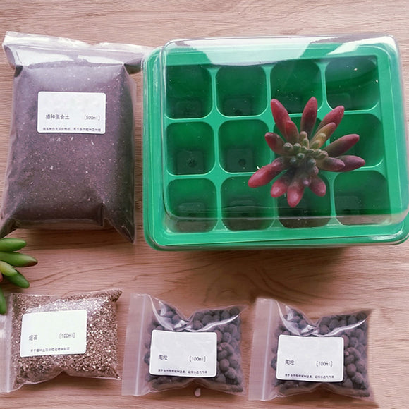 Holes,Plastic,Seedling,Planter,Mixture,Succulent,Plant,Sowing