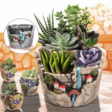 Garden,Succulent,Plant,House,Flower,Basket,Planter,Decor