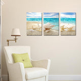 Miico,Painted,Three,Combination,Decorative,Paintings,Beach,Shell,Decoration