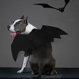 Halloween,Wings,Collar,Harness,Decor,Puppy,Black,Dress,Funny,Clothes