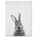 Rabbit,Canvas,Poster,Animal,Print,Paintings,Nursery