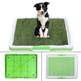 Indoor,Puppy,Potty,Training,Grass,Toilet