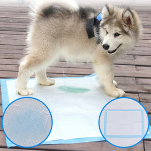 Diaper,Disposable,Super,Absorbent,Training,Diaper,Healthy,Cleaning,Puppies,Training