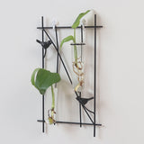 Simple,Metal,Frame,Hanging,Planter,Hydroponic,Hanging,Decorations,Plant,Container,Glass,Bottle