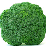 Egrow,Cauliflower,Seeds,Vegetable,Broccoli,Bonsai,Balconies,Cabbage,Cauliflower,Terraces,Small,Planting,Rapebonsai