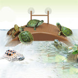 Aquarium,Turtle,Reptile,Basking,Terrace,Island,Platform,House,Decorations