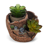 Styles,Succulent,Desktop,Flower,Plants,Planter,Garden,Plants,Holder,Window,Decoration