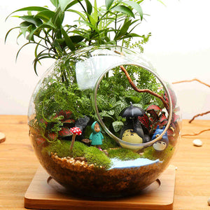 Shaped,Micro,Landscape,Glass,Bottle,Double,Holes,Succulent,Plants,Decoration