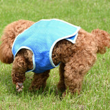 Summer,Cooling,Jacket,Clothes,Clothing,Puppy