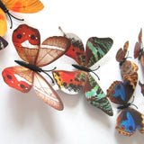 Butterfly,Magnetic,Removable,Stickers,Stickers,Decal,Decor,Decal