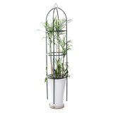 Flower,Plant,Stand,Holder,Garden,Shelf,Display,Decoration,Outdoor,Indoor,Metal,Plant