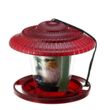 Transparent,Waterproof,Hanging,Feeder,Outdoor,Balcony,Outdoor,Feeding