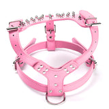 Leather,Harness,Collar,Leash,Spiked,Studded,Staffy,Security