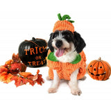 Halloween,Costume,Collar,Pumpkin,Design,Creative,Funny,Clothes,Decorations