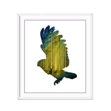 Miico,Painted,Paintings,Simple,Flying,Decoration,Painting