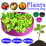 Growing,Organic,Compost,Compost,Storage,Round,Planting,Container,Garden,Vegetable,Strawberry,Potato,Planting