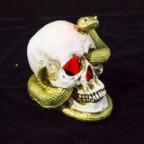 Halloween,Skeleton,Snake,Skull,Figurine,Statue,Halloween,Party,Decorations