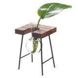 Shape,Glass,Plant,Hydroponic,Container,Flower,Bottle,Table,Decor,Wooden,Shelf,Stand