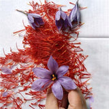 Egrow,Saffron,Seeds,Outdoor,Flower,Bonsai,Saffron,Potted,Plant,Garden,Planting